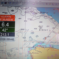 Calidris ecran traversee L