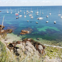 Nombreux coffres à l'extérieur de port de Sauzon pour escale de beau temps.