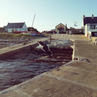 Les navettes de Concarneau et de l'Odet accostent sur Saint Nicolas